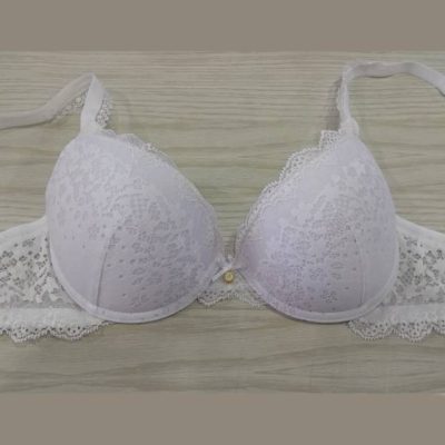 Modrček malo podložen s kostjo v košarici B Podloženi trgovinamacek