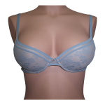 Modrček malo podložen s kostjo v košarici B